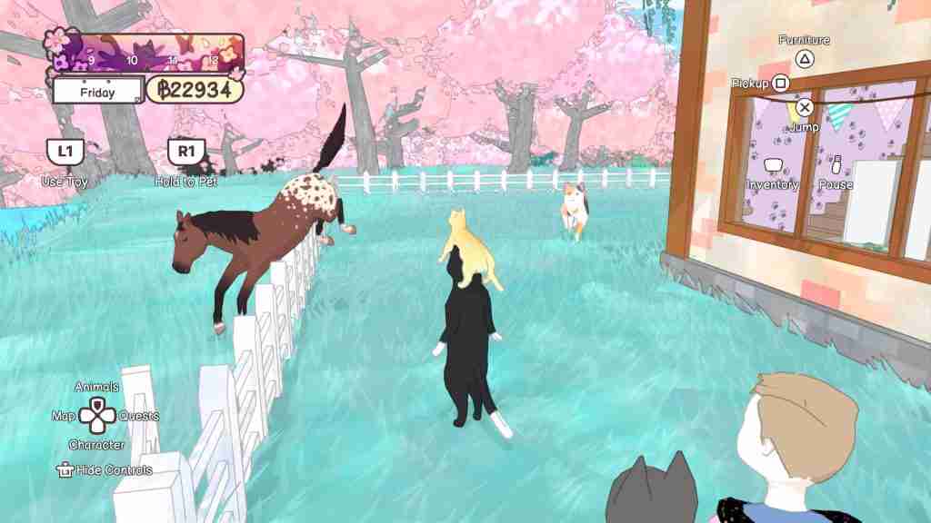 a cat-person with a cat on their head and a horse suspended in mid air over a fence