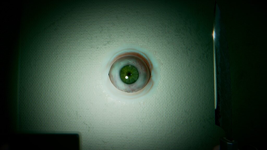 human looking eyeball petruding from wall - Brokenlore: Don’t Watch