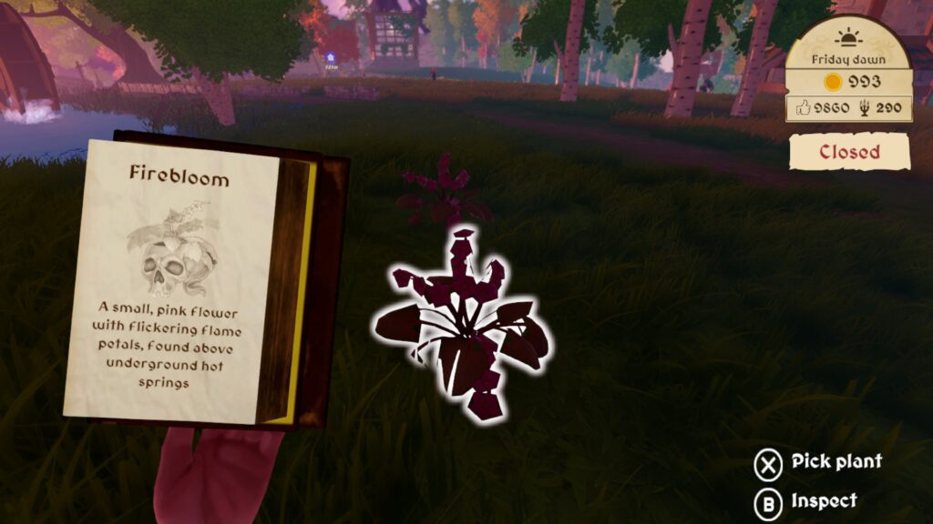 potion shop sim - checking the guide before picking a firebloom flower