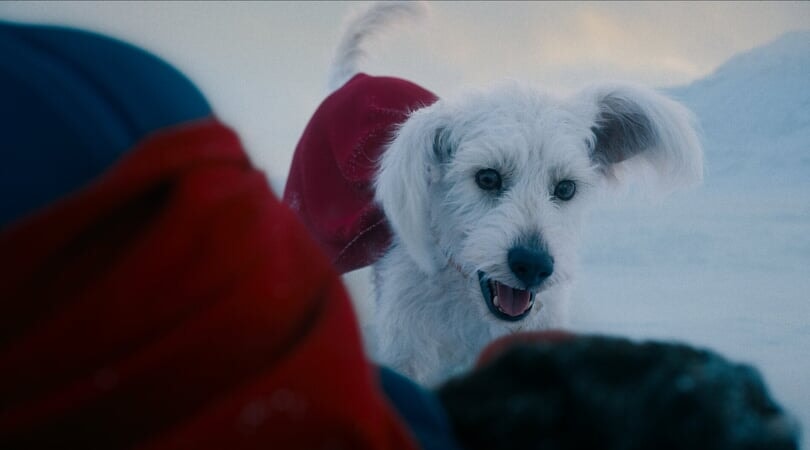 Superman - Krypto the Super Dog