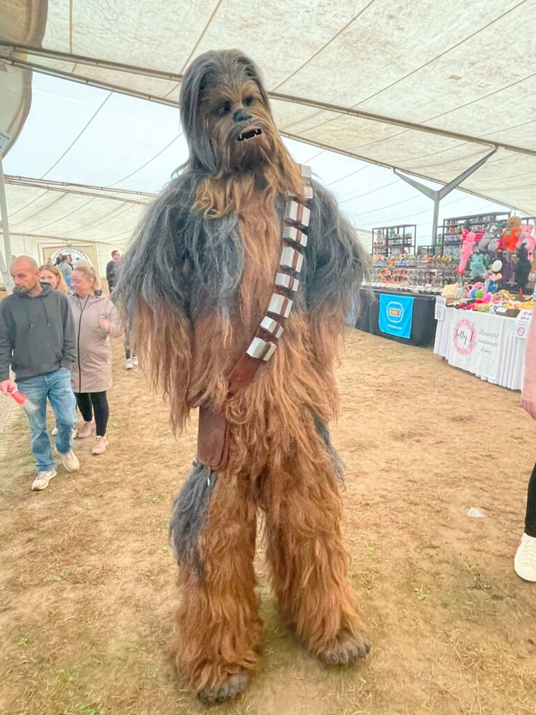 Chewbacca - Comic Con 25