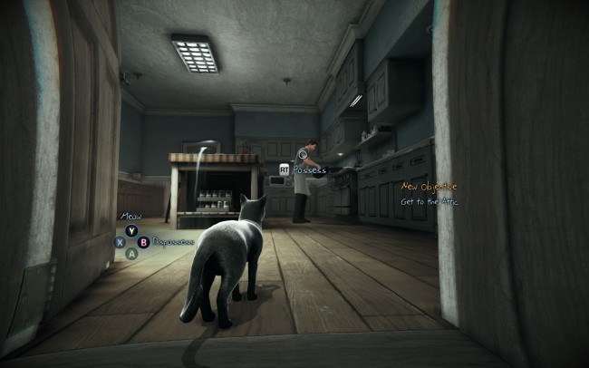 Possess a cat to play as one - Murdered: Soul Suspect 