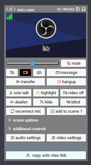 VDO-Ninja - view of the directors panel for an individual video source