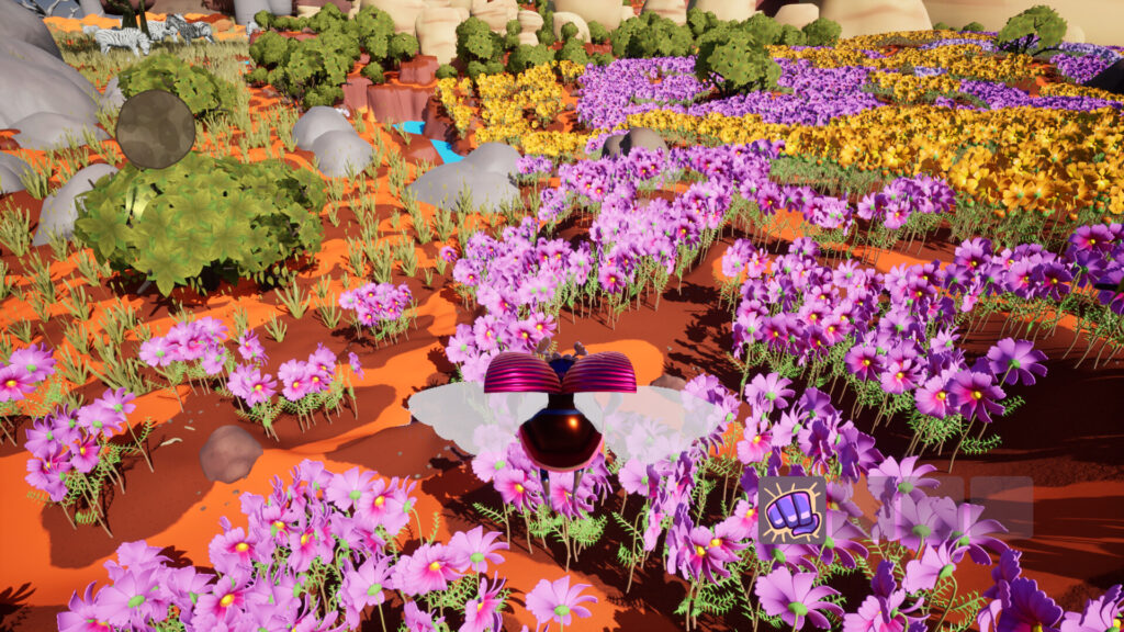 Dung Ho! - A vibrant display of various coloured flowers