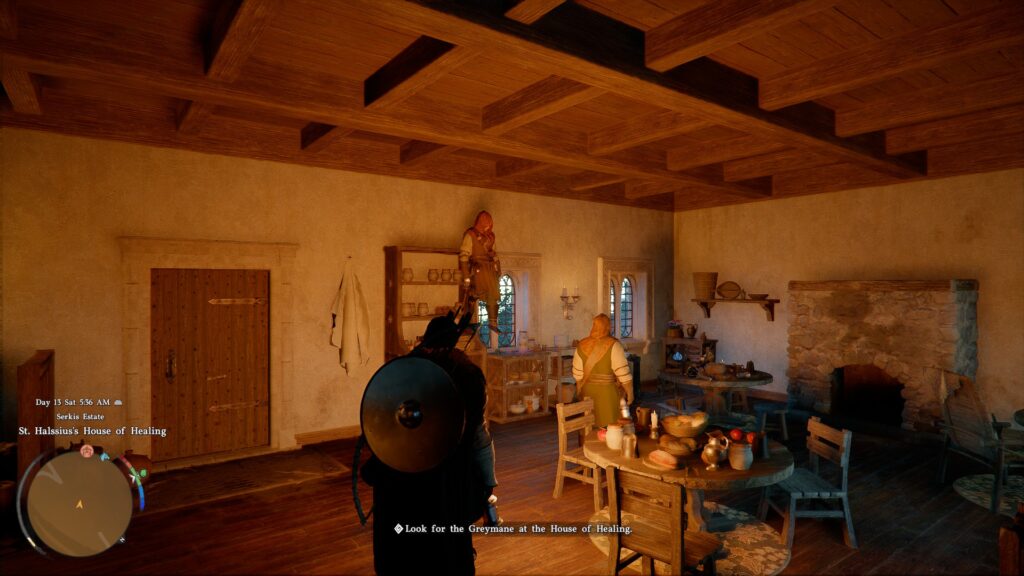Crimson Desert - One of the few bugs I encountered made a npc spawn on a counter top in a dining area
