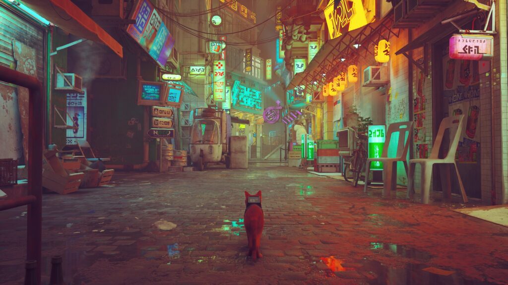 Kitty walking the streets of Midtown - STRAY