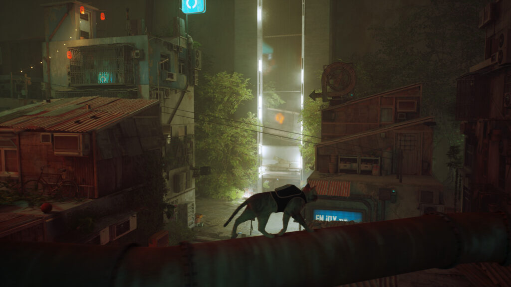 Kitty arriving in The Slums - STRAY