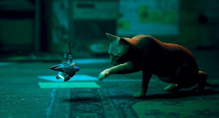 Kitty meeting small drone named B-12 - STRAY