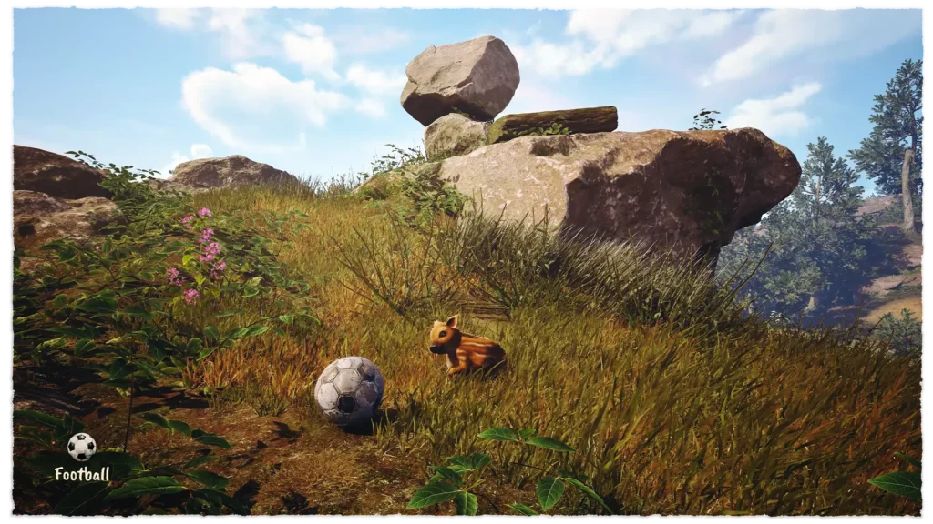 Adorable Adventures - Boris sitting in the grass with a football he found