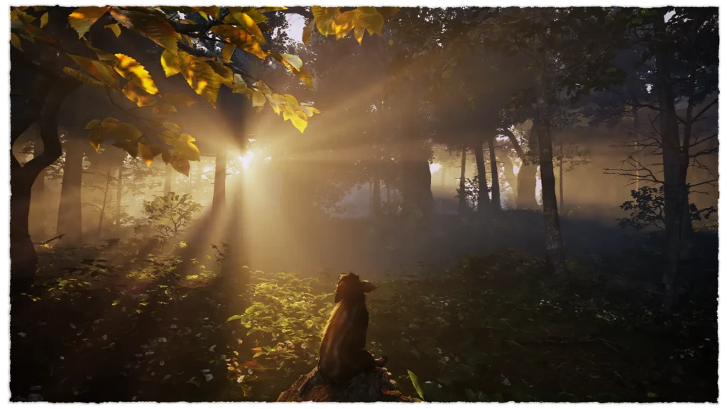 Adorable Adventures - Boris sits down in the forest and enjoys the sun rise