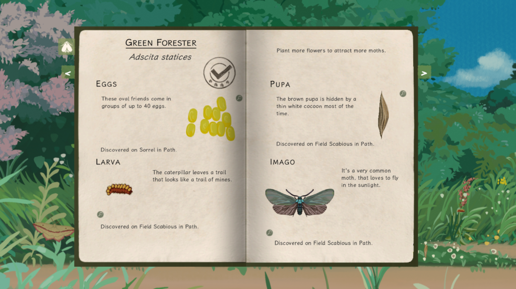 Mothkeep - Notebook showing the different stages of a moths growth. Lush green grass and flowers in the background. 

